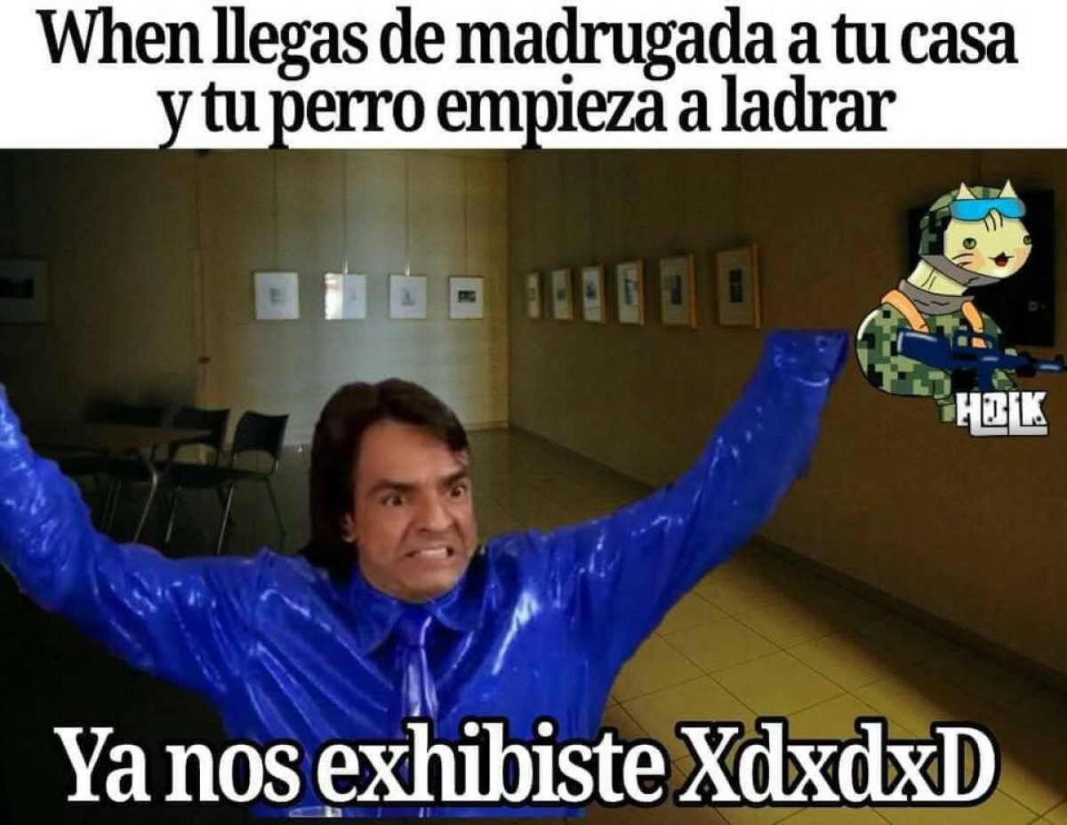 Los mejores memes de "Ya nos exhibiste" Fotogalería Tendencias LOS40 México