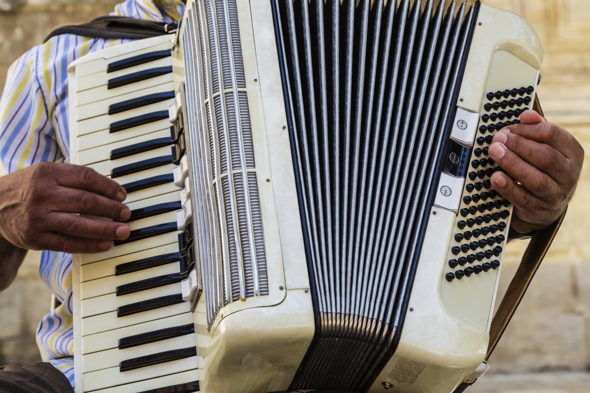 Los 5 instrumentos más difíciles para aprender a tocar | Fotogalería |  Actualidad | LOS40 México