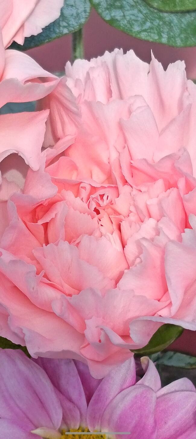 El detalle de la alta resolución