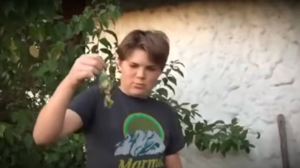 Esta fue la causa de la muerte de Chimuelo