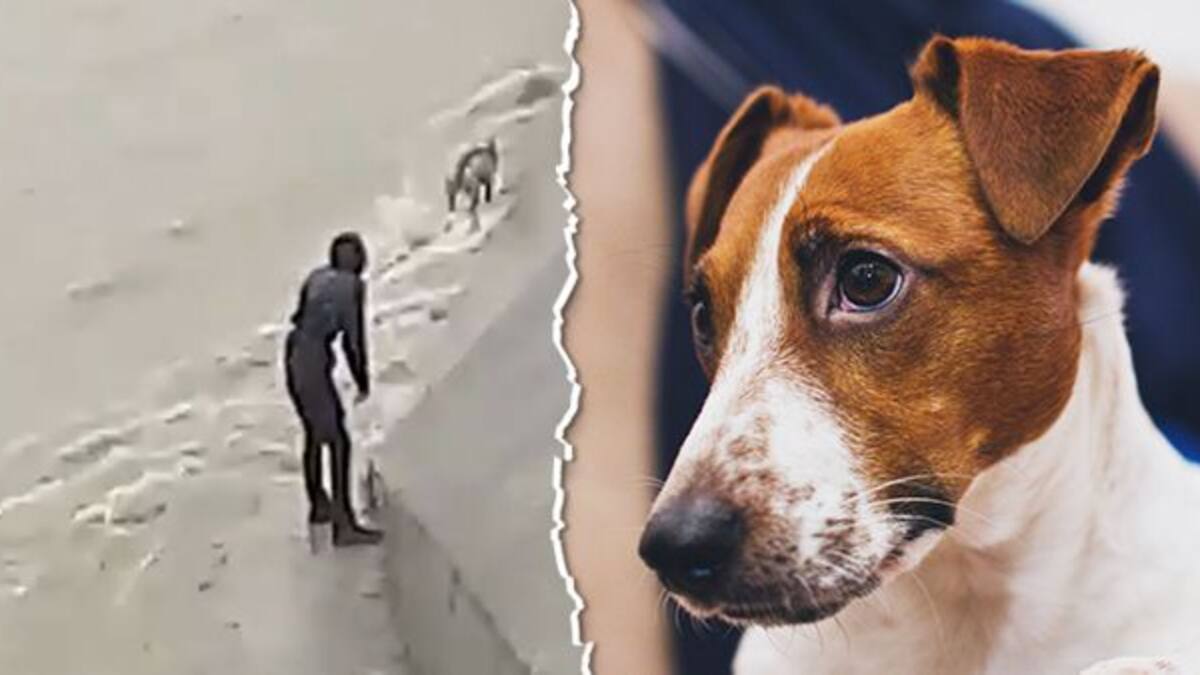 Arriesga su vida para salvar a perrito que se iba a ahogar en Nuevo León