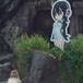 Muere Grape, el pingüino que se enamoró de una caricatura