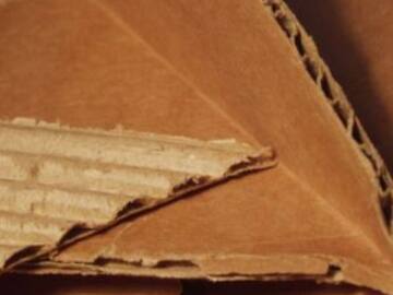 Un hombre instala inodoro de cartón en su espacio de trabajo para maximizar su rendimiento