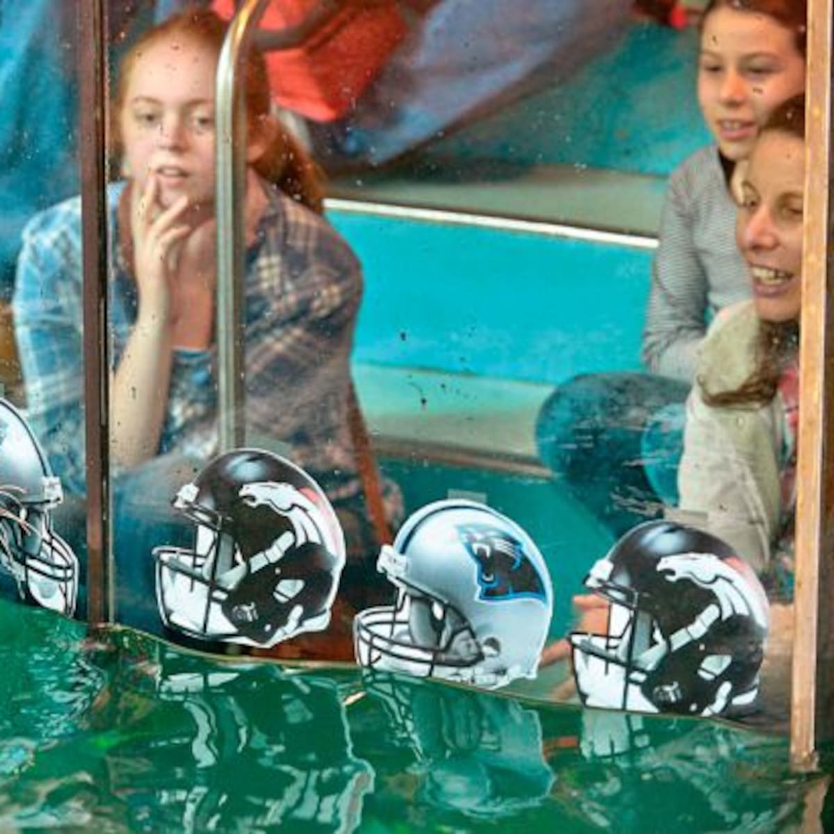 Fallece el peor animal adivino en los Estados Unidos