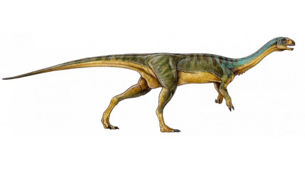 ¡Descubren un nuevo y extraño dinosaurio!