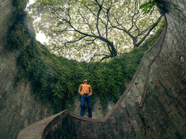 Día del Medio Ambiente 2024