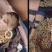 Estos viejitos recrean "Shake it off" de Taylor Swift
