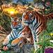 Reto visual: ¿Cuántos tigres ves?