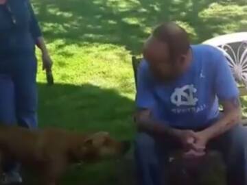 Perrito no reconoce a su amo porque adelgazó