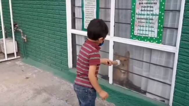 Santiago, el niño que sale a la calle a entrevistar perritos