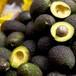 Un millonario le da un consejo a los millennials: "Dejen de gastar en aguacate"