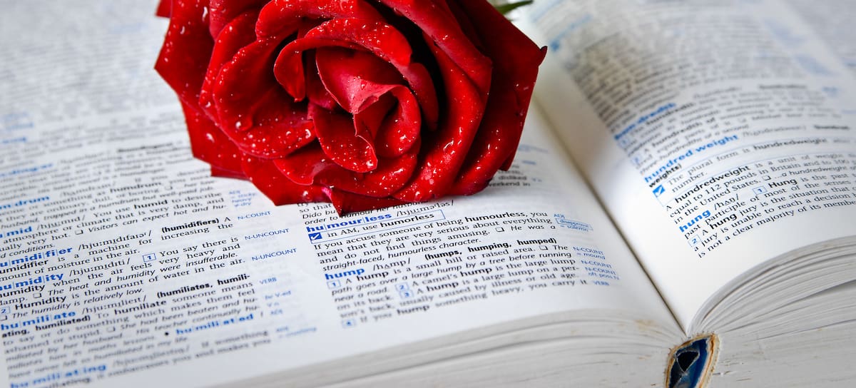 ¿Por qué se regala un libro y una rosa el 23 de abril?