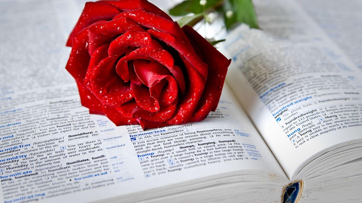 ¿Por qué se regala un libro y una rosa el 23 de abril?: Origen, tradición y significado del Día del Libro