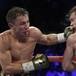 ¿Empate en la Canelo VS Golovkin?