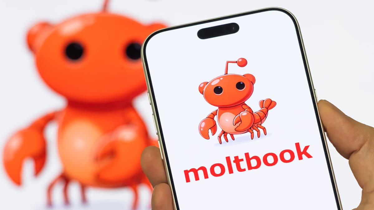 Moltbook: La red social donde las máquinas ya no necesitan a los humanos