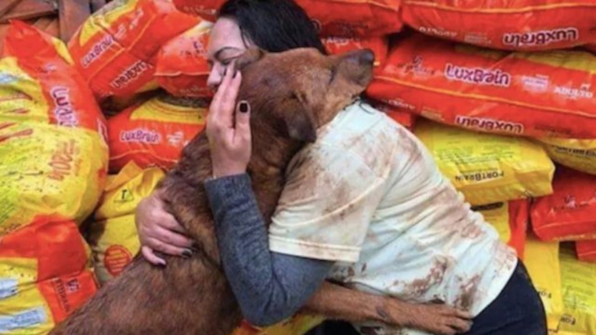 Perrito abraza a mujer que donó croquetas a su refugio