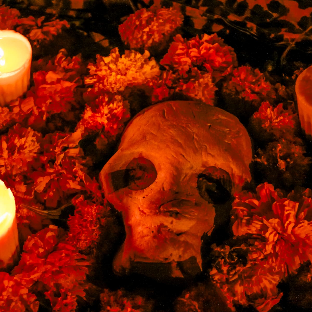 En esta experiencia inmersiva de la CDMX sentirás literalmente que se siente hacer un viaje al Mictlán; celebra así el Día de Muertos