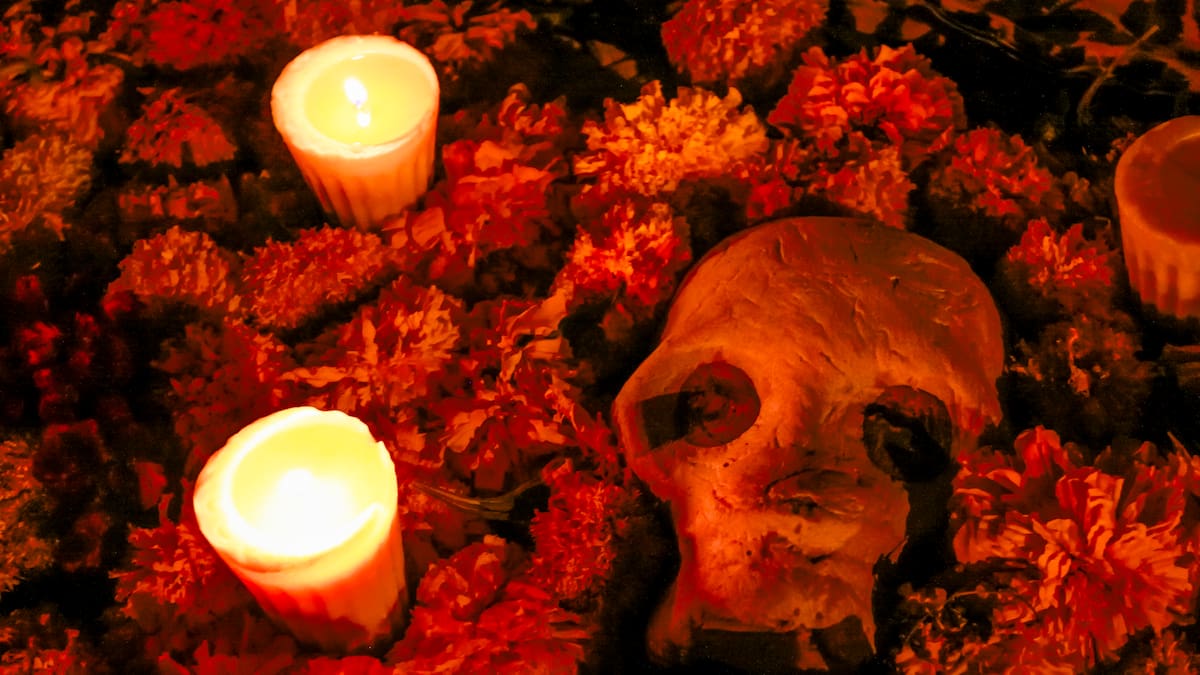 En esta experiencia inmersiva de la CDMX sentirás literalmente que se siente hacer un viaje al Mictlán; celebra así el Día de Muertos