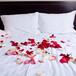 #Top Ten: Lugares Para Tener Sexo