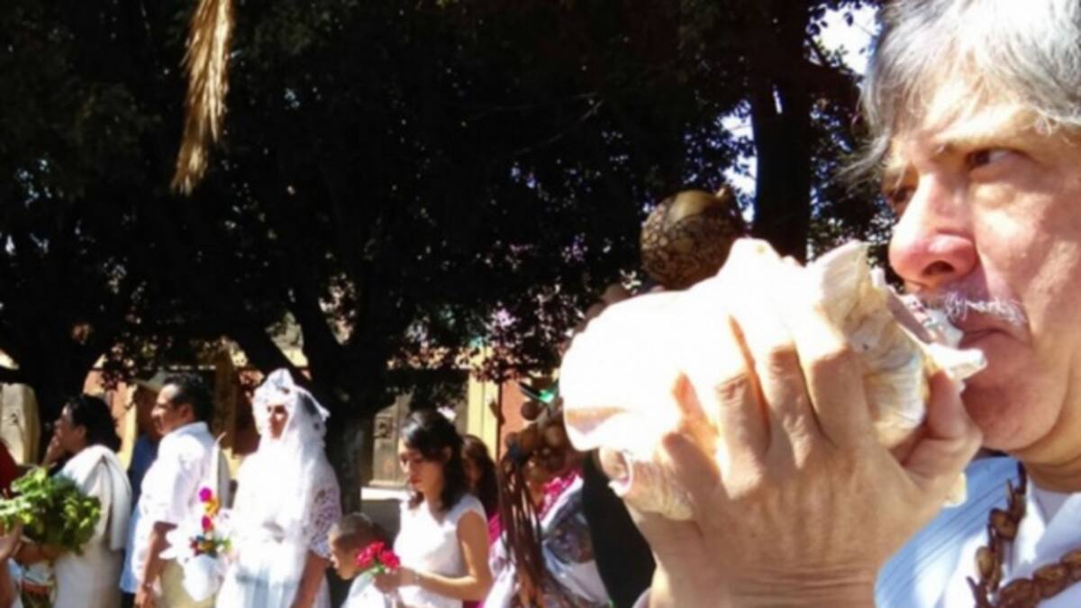 Mujeres se casan con árboles para salvarlos