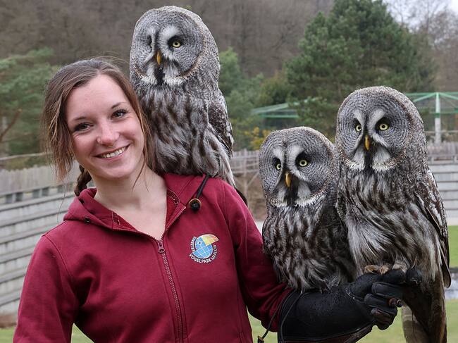 Día del Búho-04 agosto