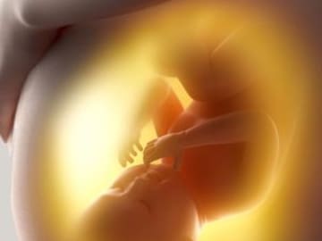 Bebé saluda a sus papás en ultrasonido