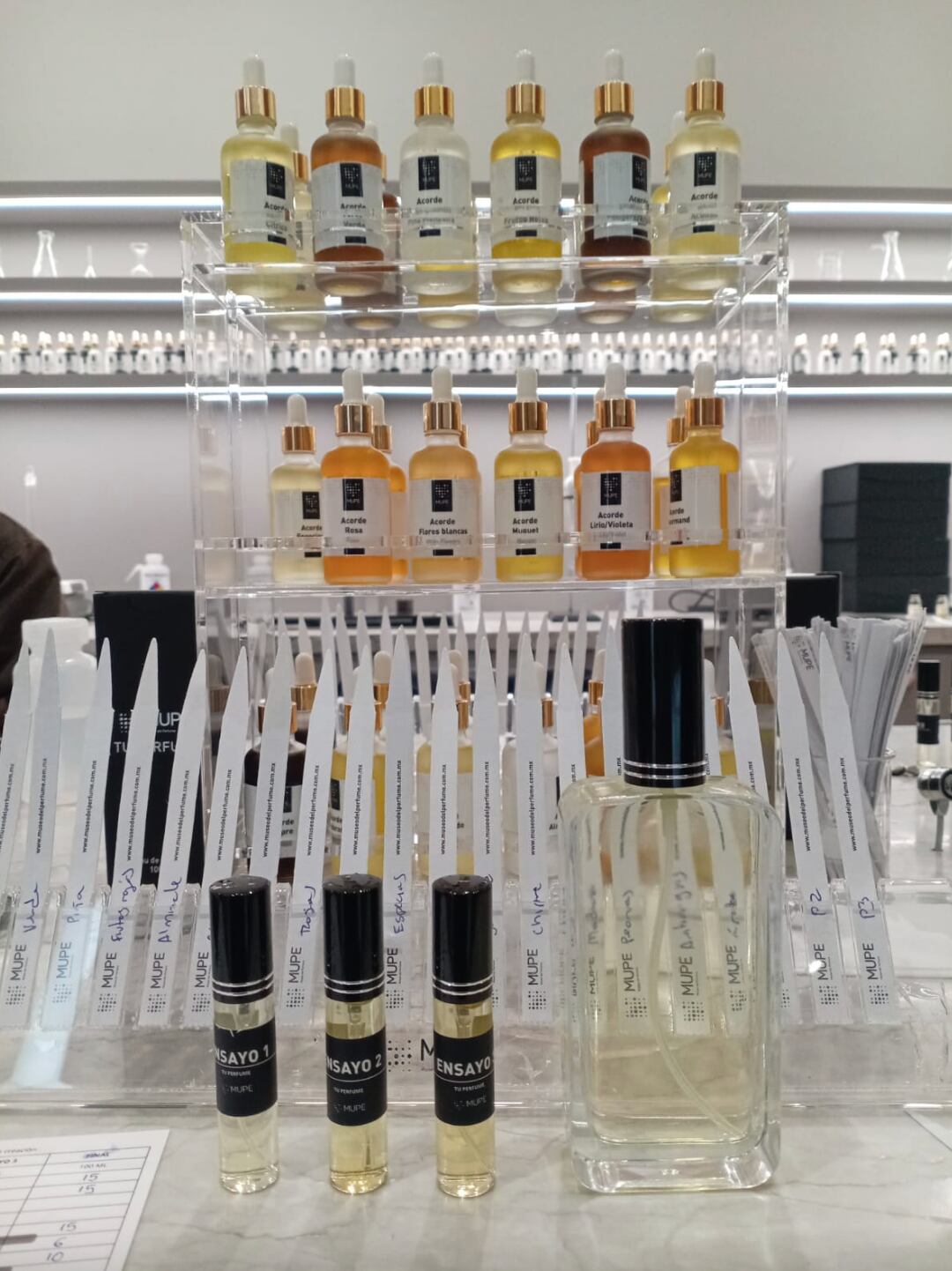 Perfume propio en el MUPE