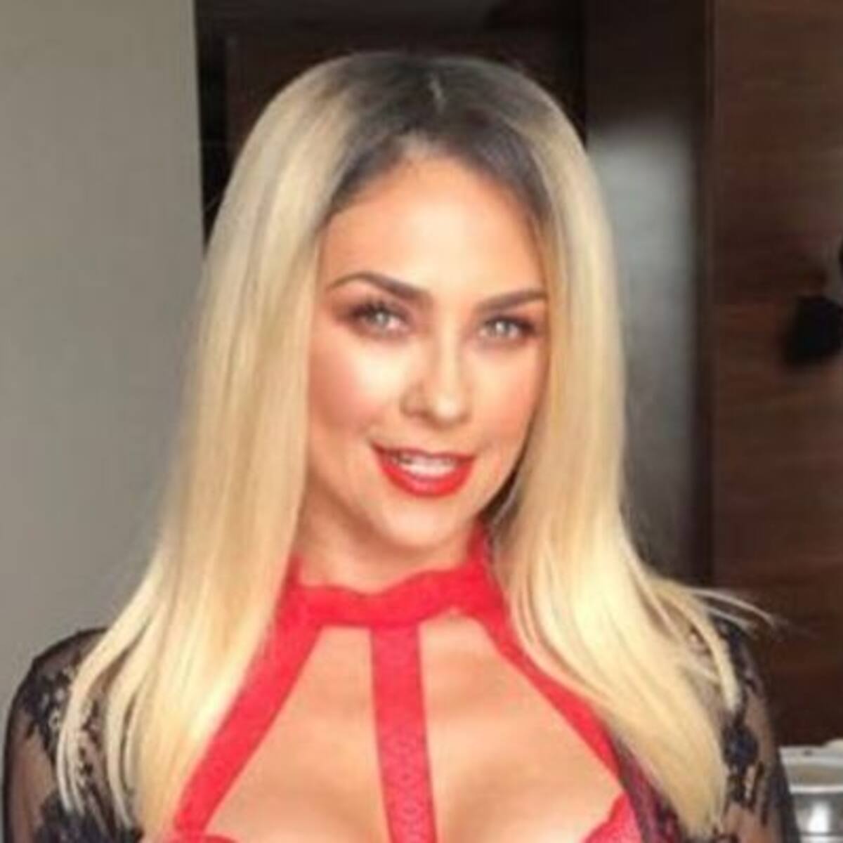 Aracely Arámbula enseña todo con lencería roja