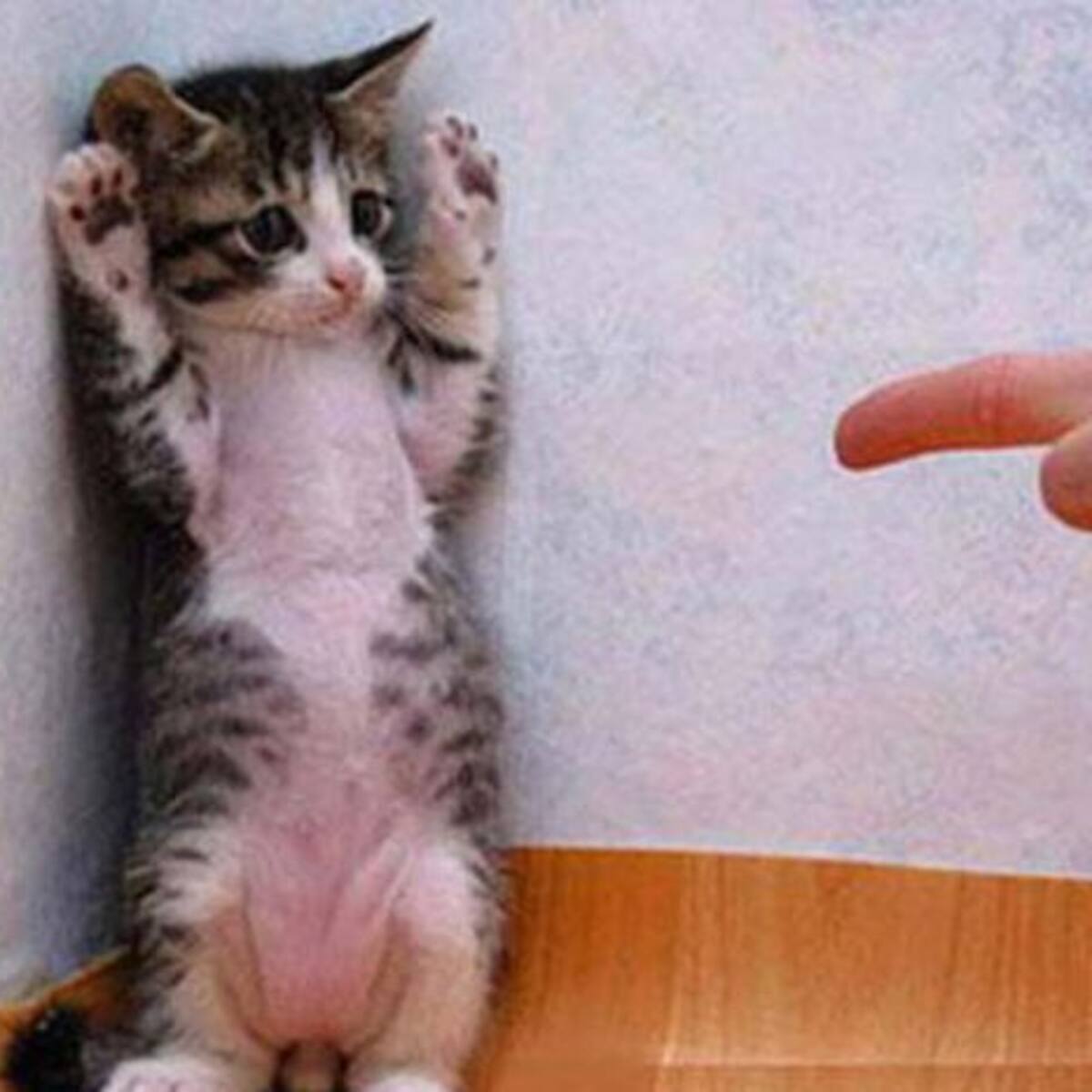 Top Ten: Sabes Que Ya Valió Cuando…