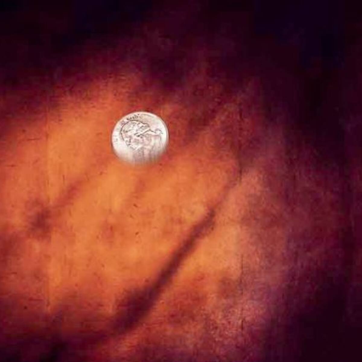 Complaciente a todas tus dudas e inquietudes