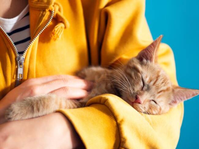 ¿Qué hubieras hecho en su lugar?