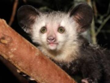 #Top Ten: Punto Para Los Feos