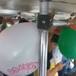 José José recibe homenaje en un microbús | VIDEO