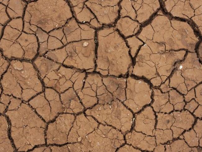 El calentamiento global puede afectar a todas las formas de vida