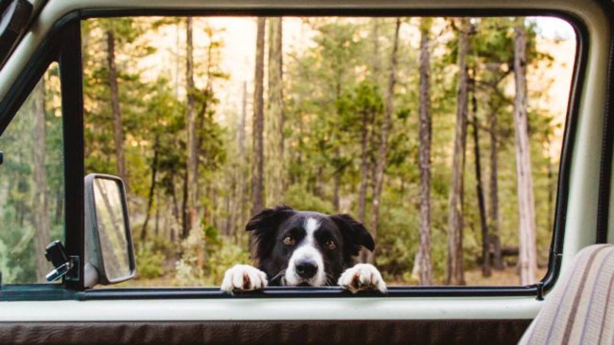 En Los 40 te ponemos el reto de encontrar a Momo