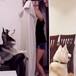 ESTE ES EL RETO QUE SORPRENDE A LAS MASCOTAS Y SE ESTÁ HACIENDO VIRAL