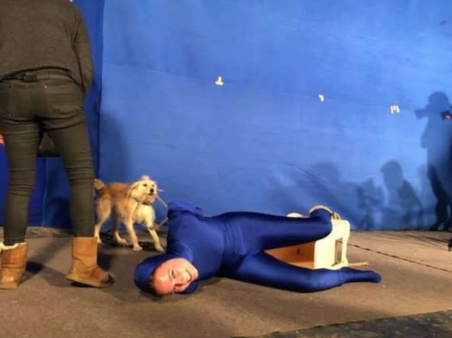 ¡Ese perrito es adorable!