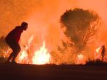 Él es quién salvó al conejito del incendio en California