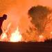 Él es quién salvó al conejito del incendio en California