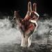 #Top Ten: Si el difunto me hablara…
