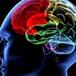 Implantes cerebrales, podrían mejorar 25% la memoria humana