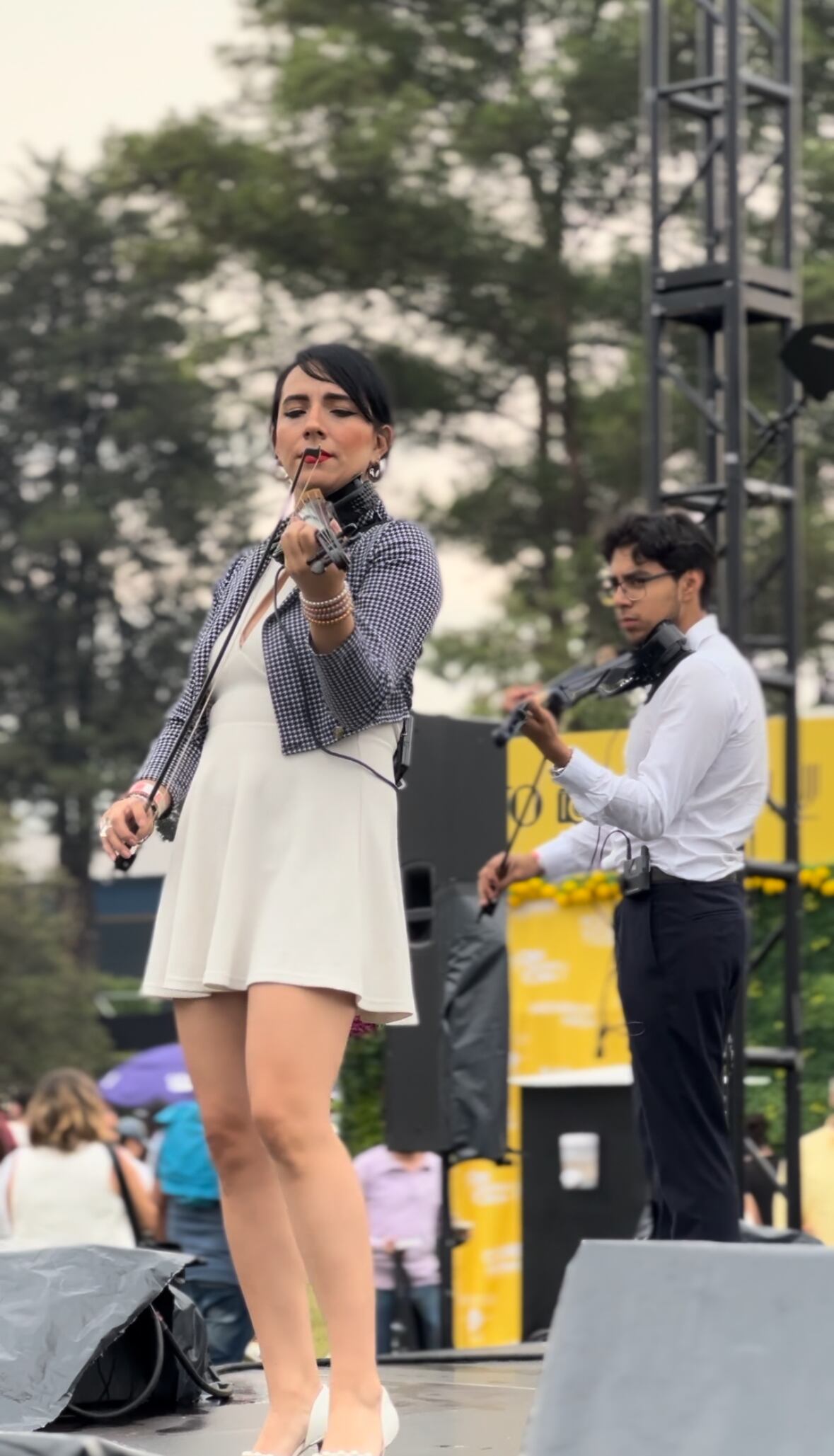 Sabor es Polanco y música de violines