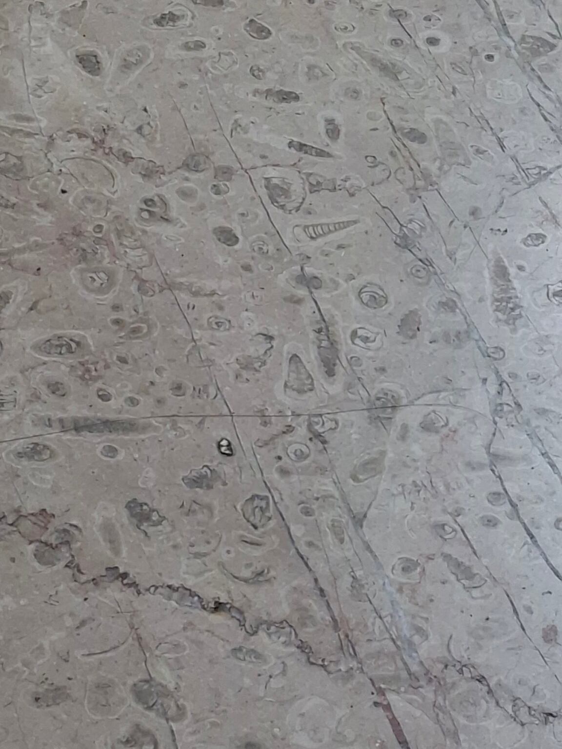 Esta foto pertenece a Mel Regina Samaniego, miembro del grupo de Facebook "Fósiles del metro de la CDMX o escondidos por la ciudad"