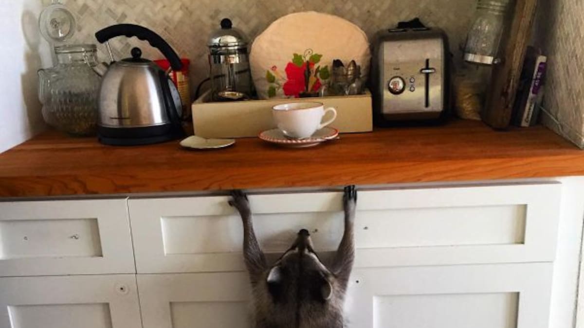 #Si Fuera Mi Último Día De Vida…