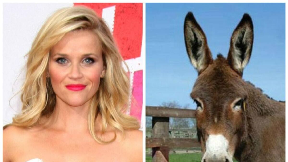 Las mascotas más exóticas de los famosos