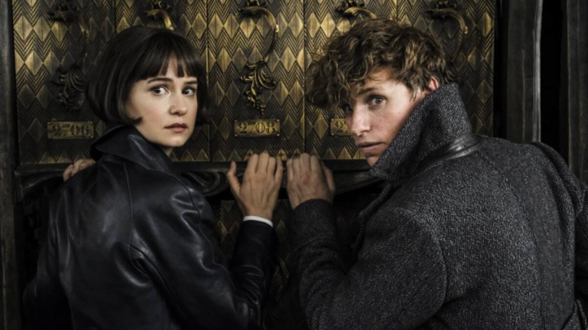 Especial De Película #2 "Animales Fantásticos: Los Crímenes de Grindelwald"