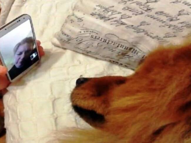 Ellos sienten mucho al igual que nosotros