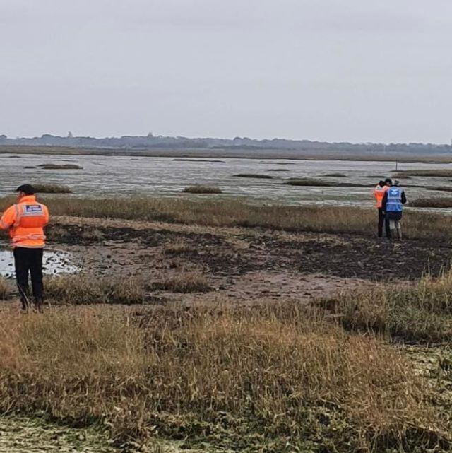 Perrita es rescatada con dron y salchicha para evitar que se hundiera de pantano