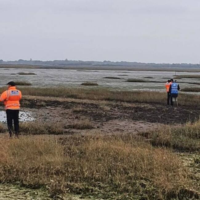 Perrita es rescatada con dron y salchicha para evitar que se hundiera de pantano