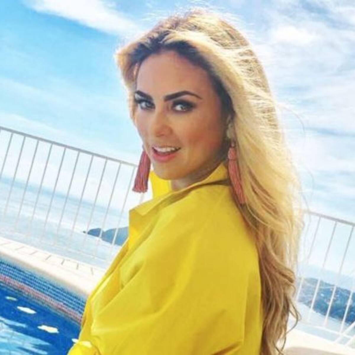 Aracely Arámbula con cuerpo de infarto en bikini